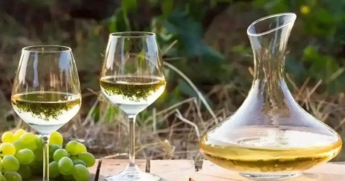 Chardonnay: Vinhos Maravilhosos!