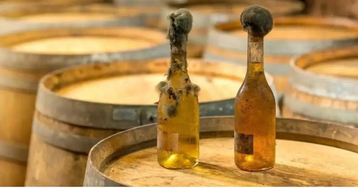 O-Fascinante-Vinho-Doce-Tokaji