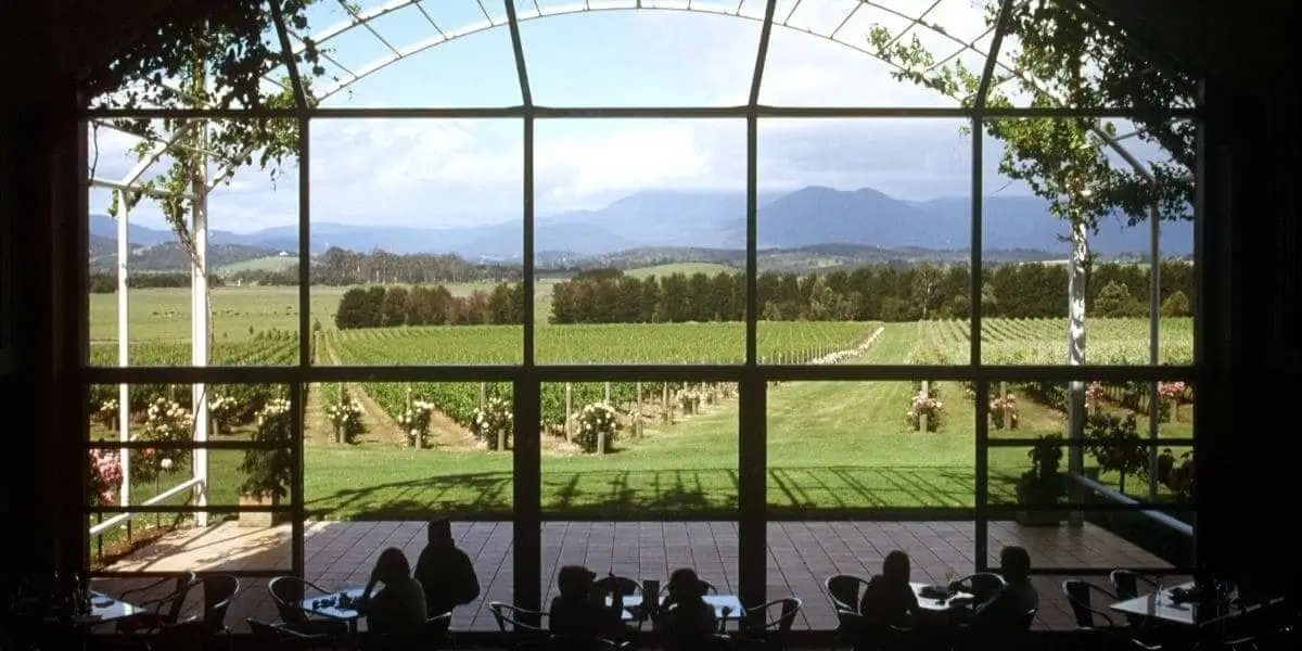 O Renascimento dos Vinhos do Etna